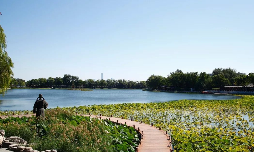 山東鄒城太平國家濕地公園濕地保護修復項目 
